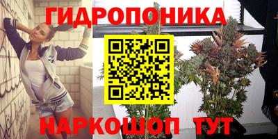 спиды Пугачёв