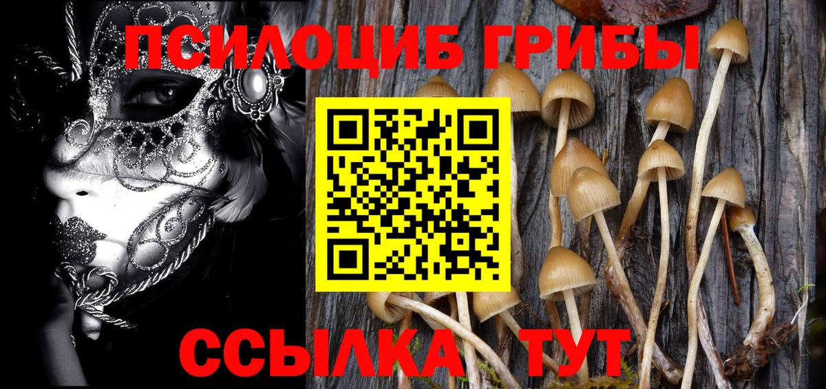 Галлюциногенные грибы мицелий  Псилоцибиновые грибы MAGIC MUSHROOMS  закладка  Осинники  Вход с VPN 